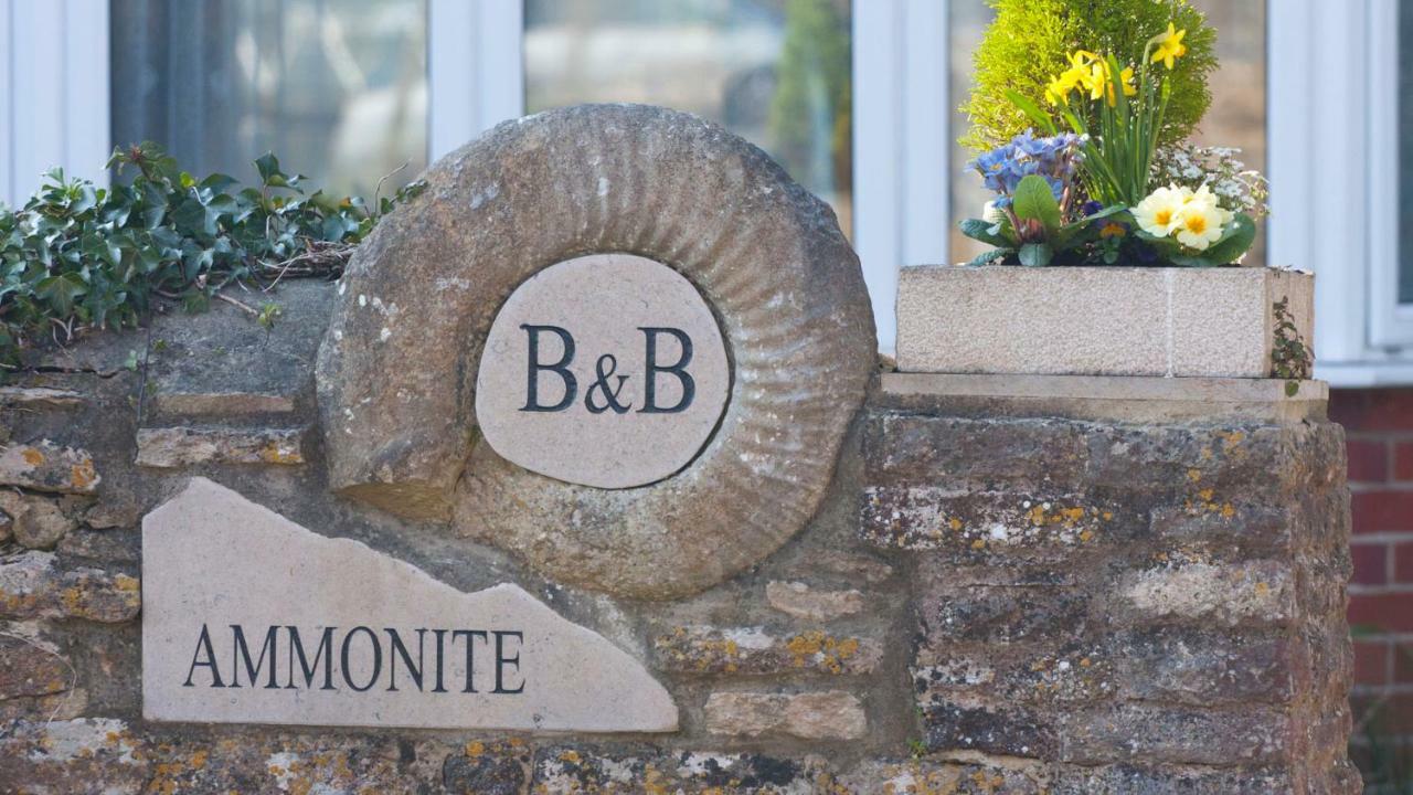 Ammonite Bed & Breakfast Corfe Castle Eksteriør billede