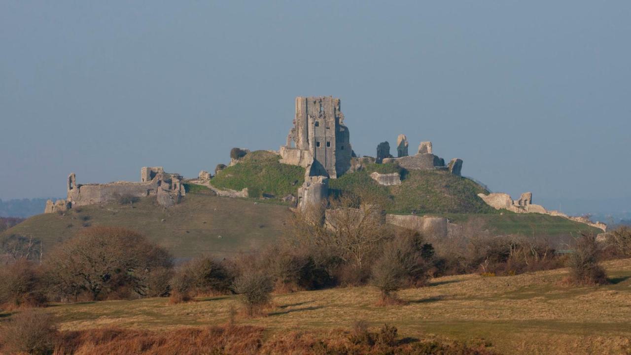 Ammonite Bed & Breakfast Corfe Castle Eksteriør billede